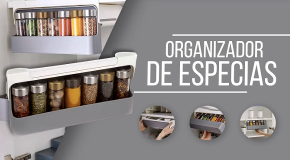 Organizador especies expansible